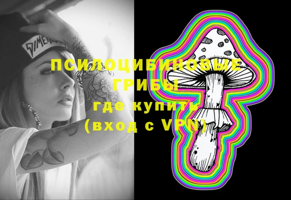 крисы Богородск