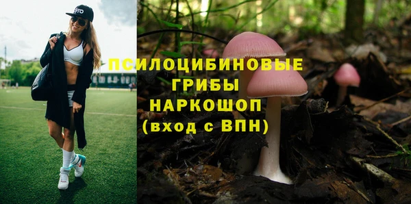apvp Богданович