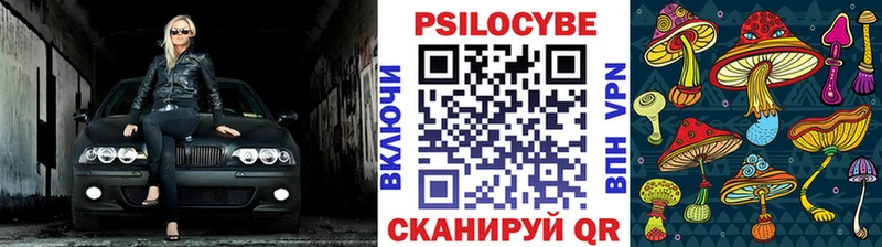 Псилоцибиновые грибы прущие грибы  Тихорецк 